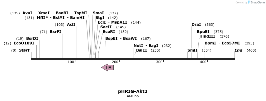 94965_map