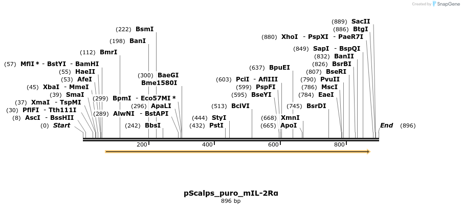94969_map