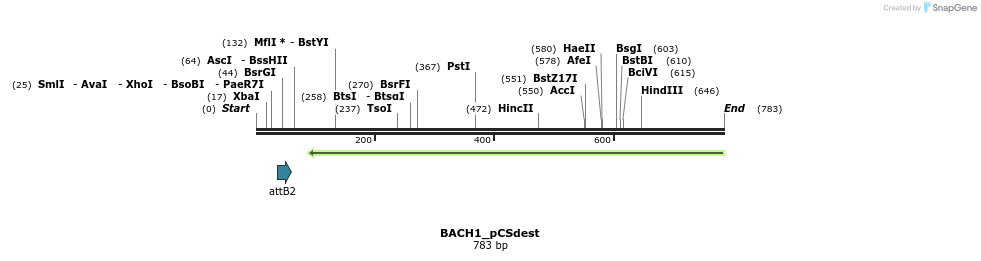 94976_map