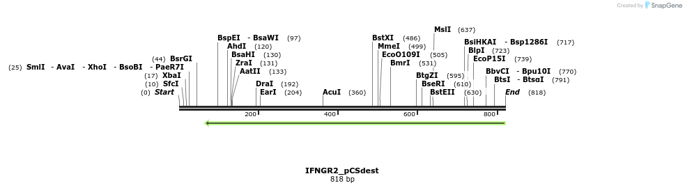 94981_map