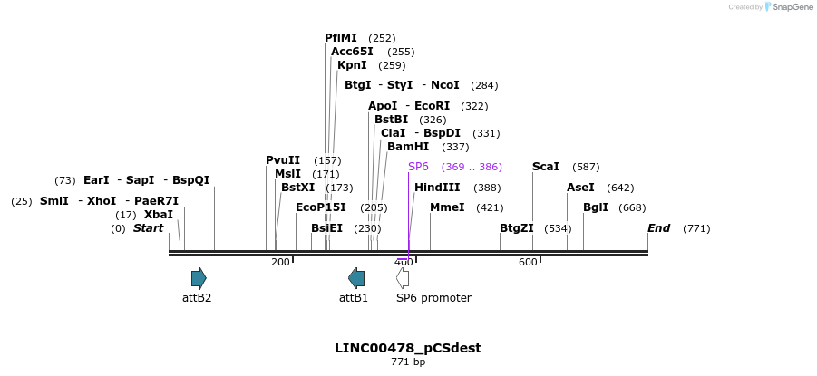 94995_map