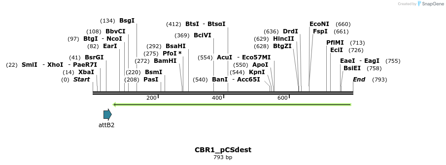 95004_map