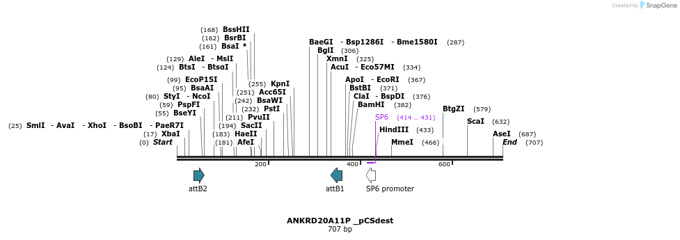 95009_map