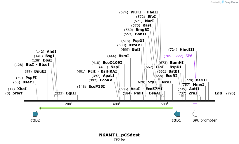 95012_map