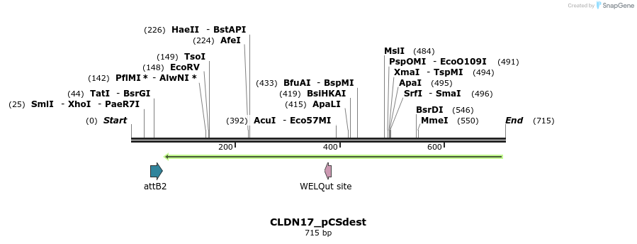 95013_map
