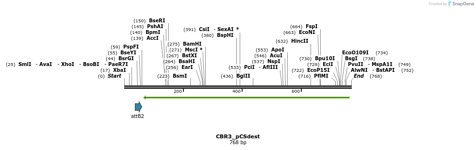 95025_map