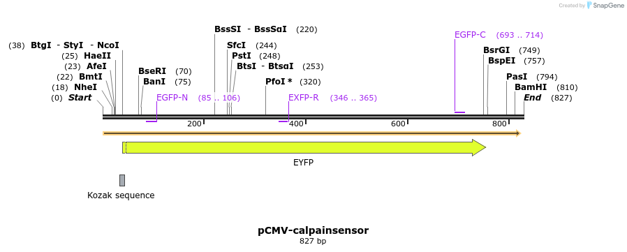 95029_map
