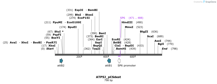 95030_map