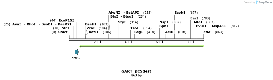 95036_map