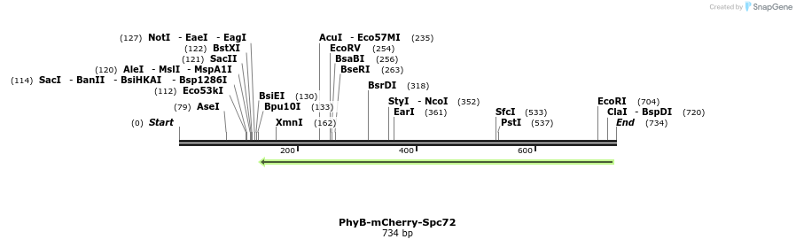 95039_map
