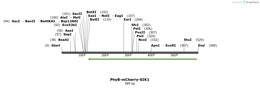 95047_map