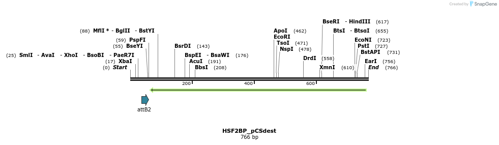 95052_map