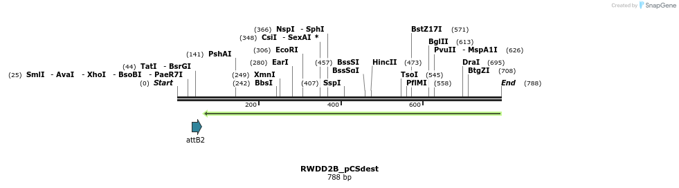 95053_map