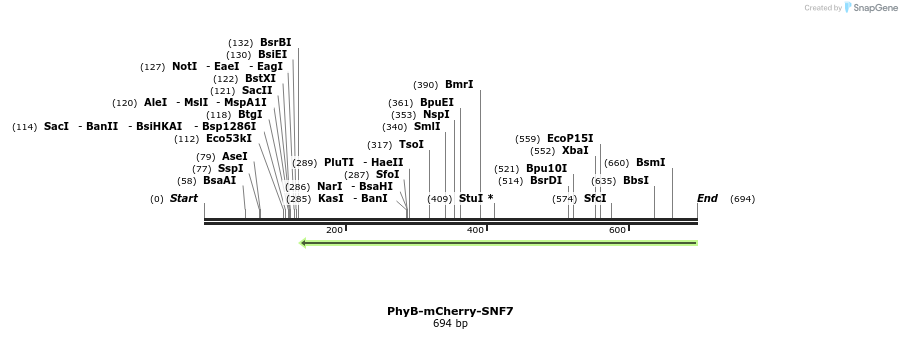 95057_map