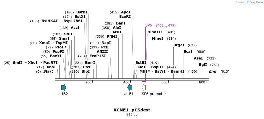 95060_map