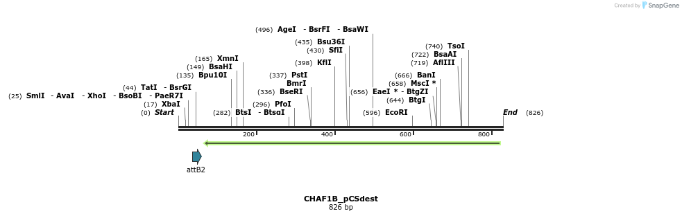 95062_map