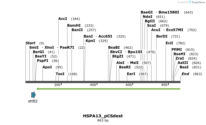 95067_map