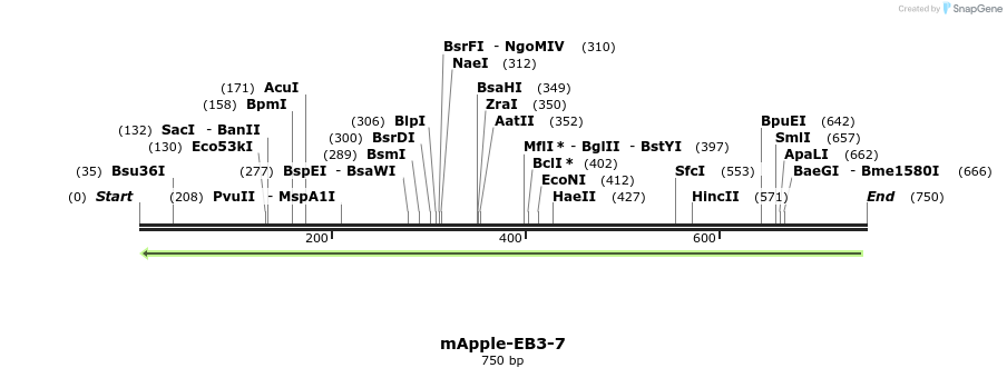 95071_map