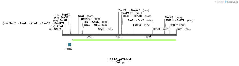 95074_map