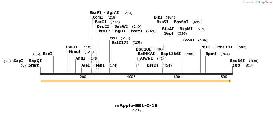 95075_map
