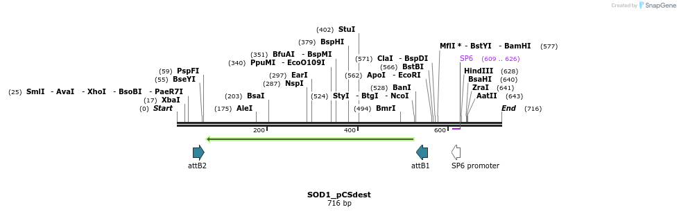 95076_map