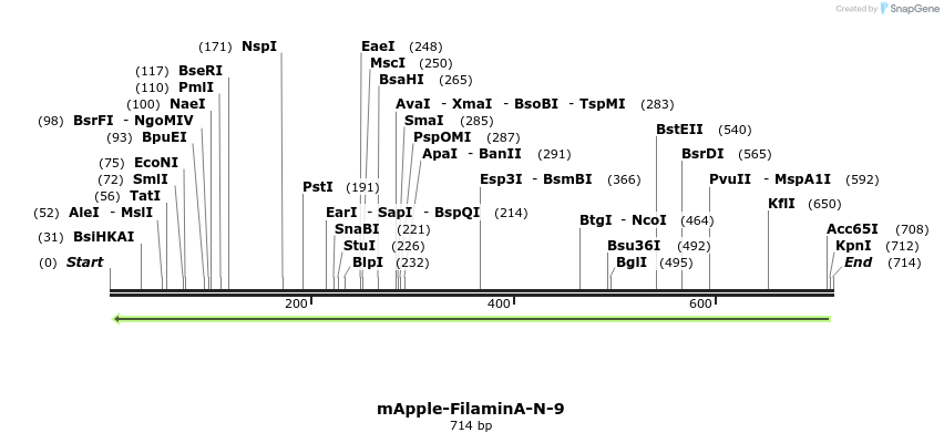 95078_map