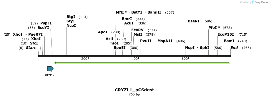 95080_map