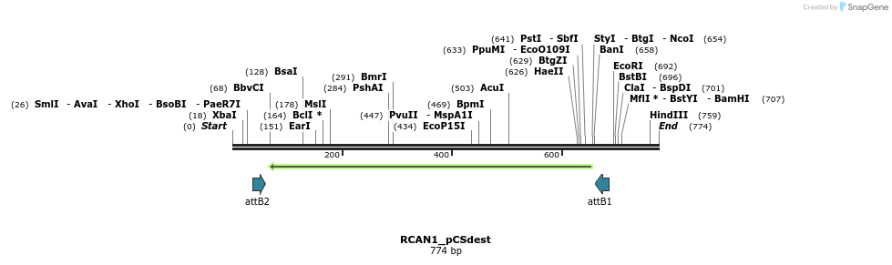 95081_map