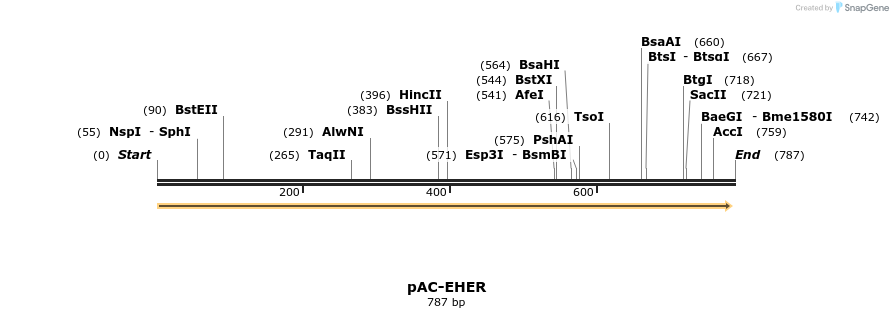 95087_map