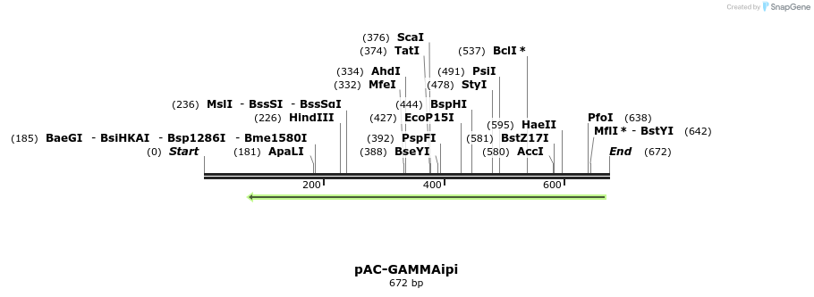 95089_map