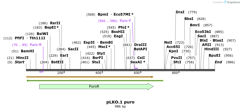 95098_map