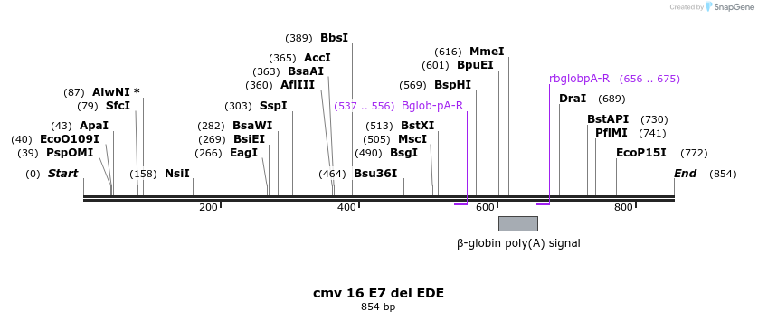 95100_map