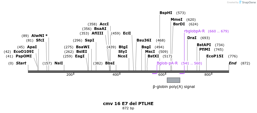 95102_map