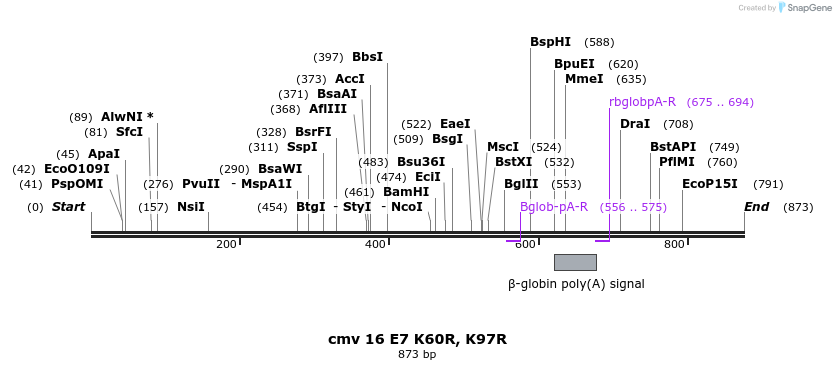 95104_map
