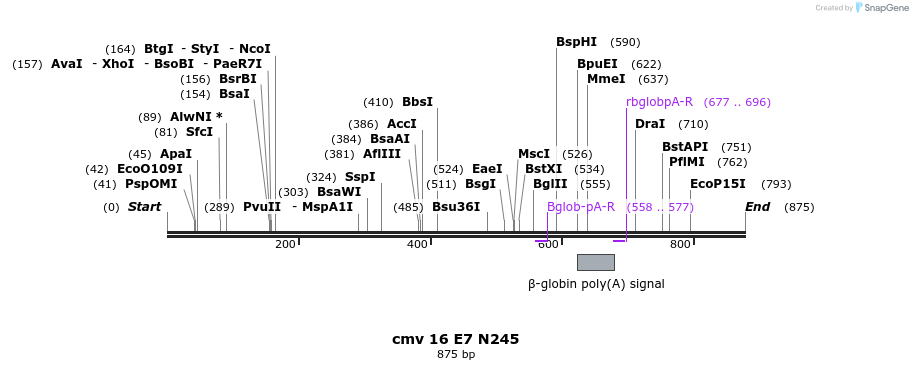 95105_map