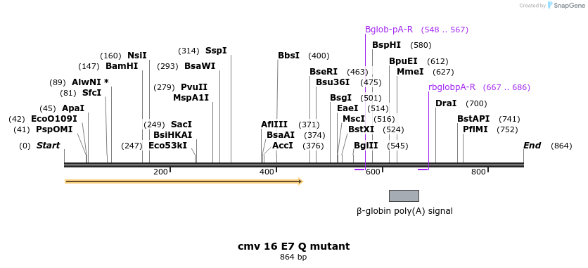 95106_map