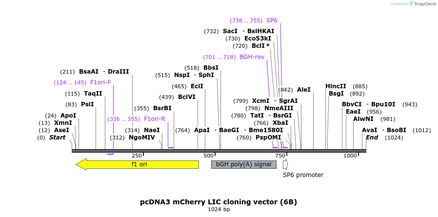 95109_map