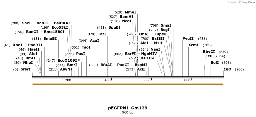 95114_map