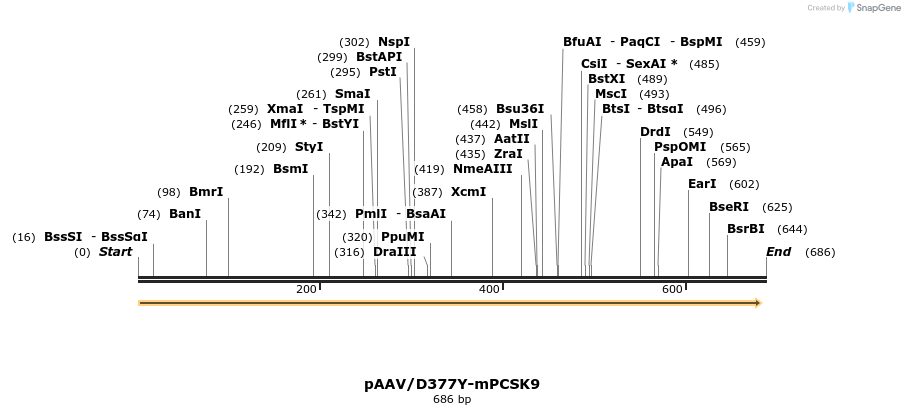 95115_map