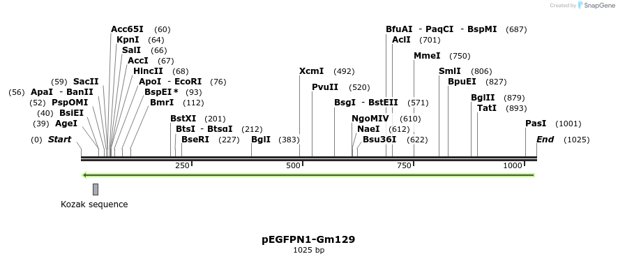 95116_map