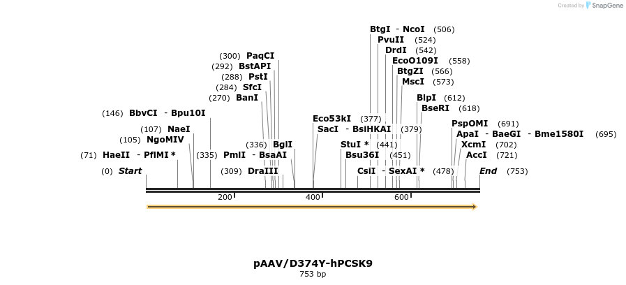 95117_map