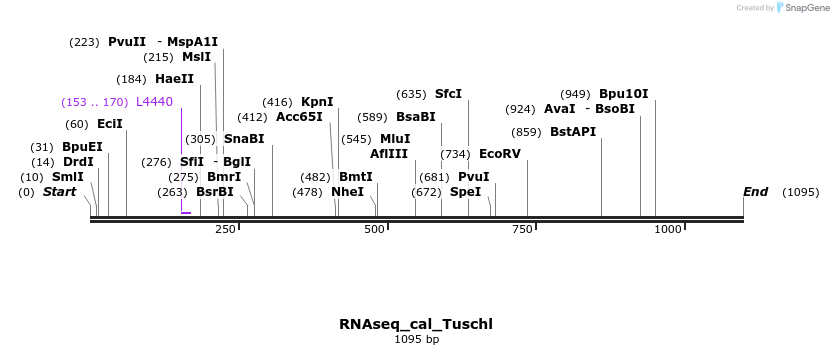 95118_map