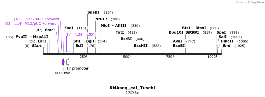 95121_map