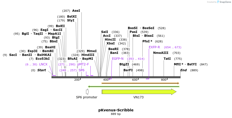 95122_map