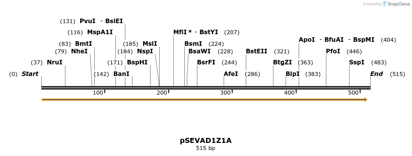 95127_map