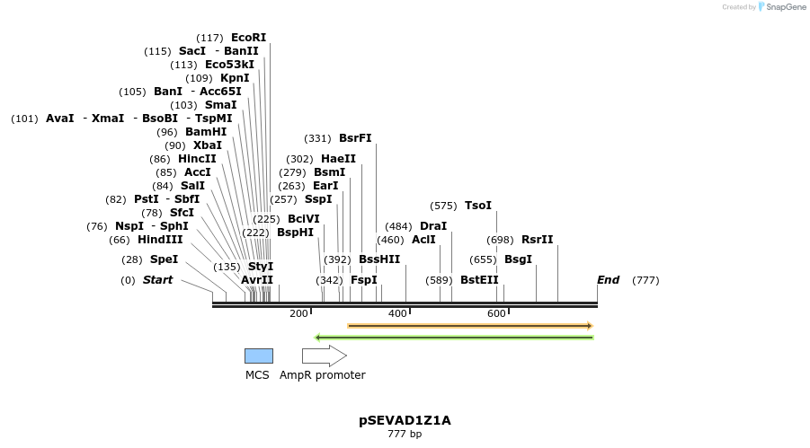 95128_map