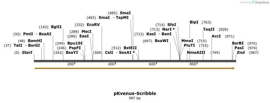 95129_map