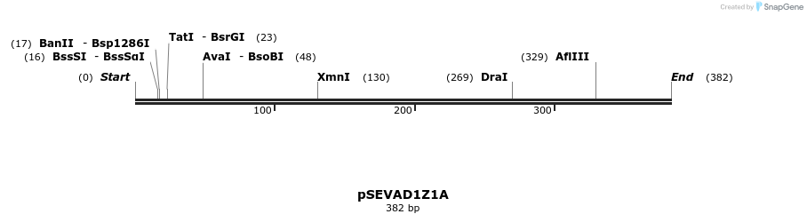95130_map