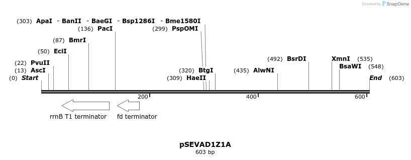 95131_map