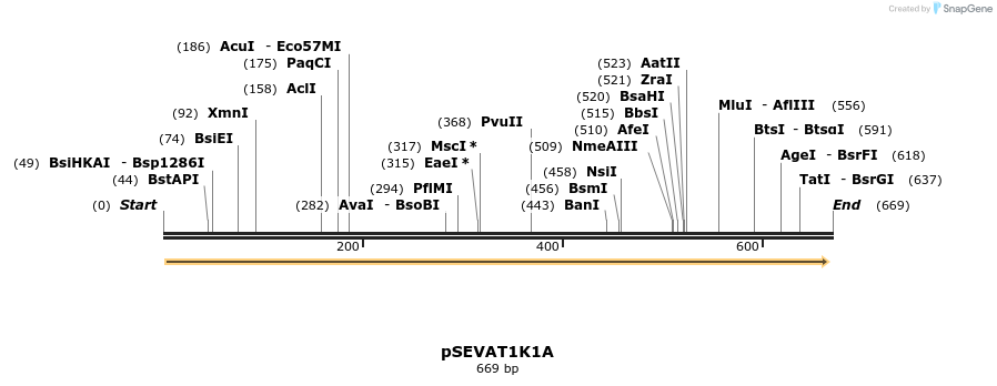 95132_map